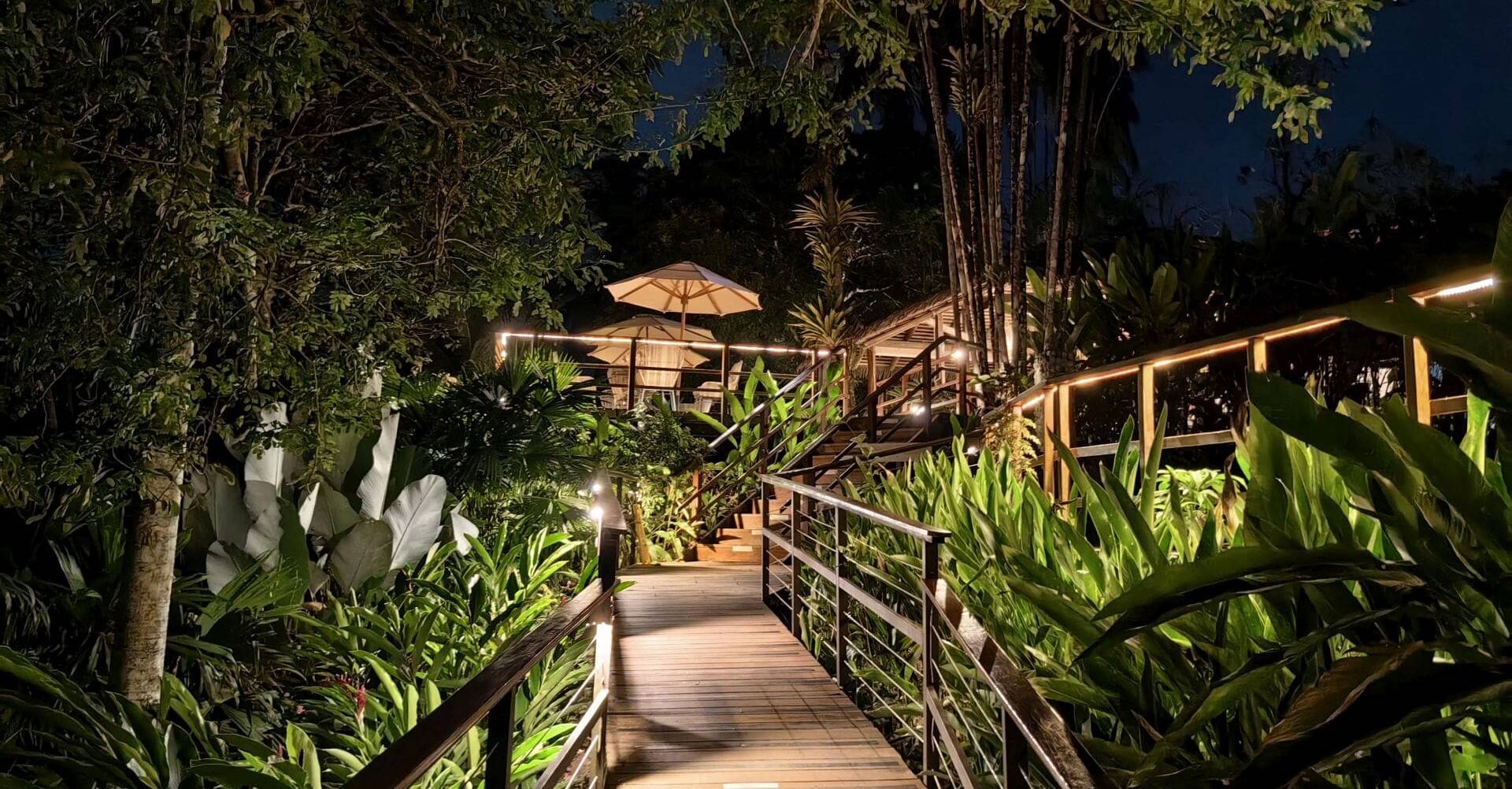 Costa Rica, Lapa Rios, Morgenstimmung, Latin America Tours