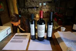 Argentinien, Mendoza, Weingut Achaval Ferrer, Weine und Olivenoele, Lujan de Cuyo, Latin America Tours