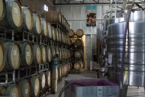 Argentinien, Mendoza, Weinfaesser, Valle de Uco, Gimenez Riili, Latin America Tours