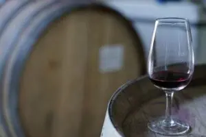 Argentinien, Mendoza, Wein, Valle de Uco, Latin America Tours, Reisen