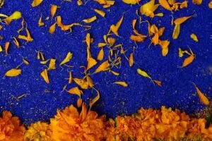 Mexiko, Latin America Tours, Tag der Toten, Blumen