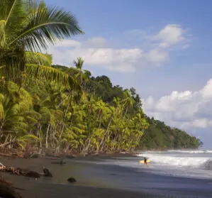 Costa Rica, Punta Banco, Reserva Indigena Guami Conte Burica, Strand mit Kokospalmen, Südliche Pazifikküste, Latin America Tours