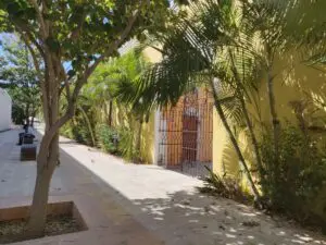 Mexiko, Campeche, Kolonialstadt, ruhiger Innenhof mit Baeumen, Latin America Tours, Reisen