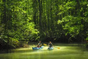 Costa Rica, Playa Nicuesa Lodge, Kayaking, Latin America Tours