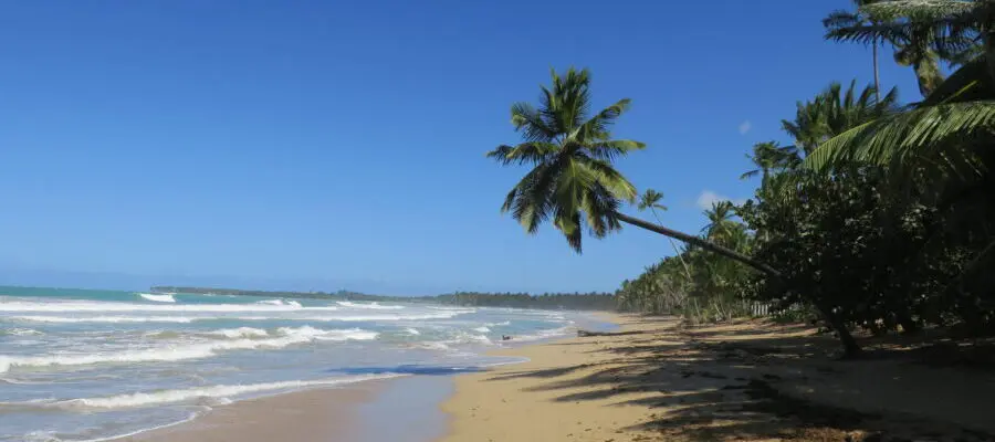 Domninikanische Republik, Las Terrenas, Strand, Palme, Blauer Himmer, Reisebericht, Latin America Tours