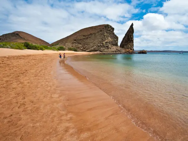 Ecuador, Galapagos, Yellow Beach, Latin America Tours