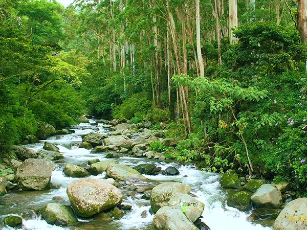 Panama, Reise planen in 5 Schritten, Boquete, Latin America Tours