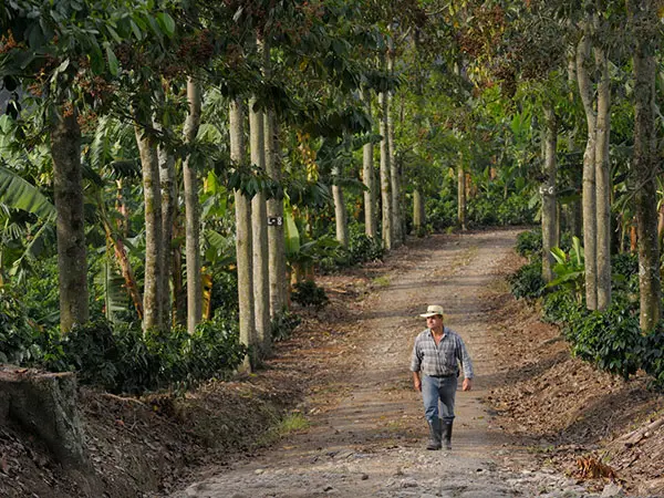 Kolumbien, Reise planen in 5 Schritten, Bauer, Latin America Tours