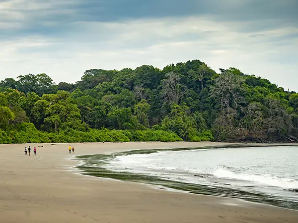 Panama, Reise planen in 5 Schritten, Isla Palenque, Strand, Latin America Tours
