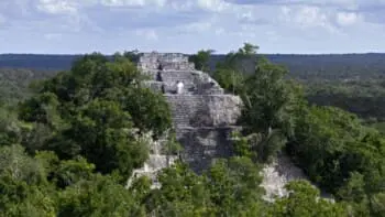 Mexiko, Calakmul, Mayaruinen, Reisebericht, Latin America Tours
