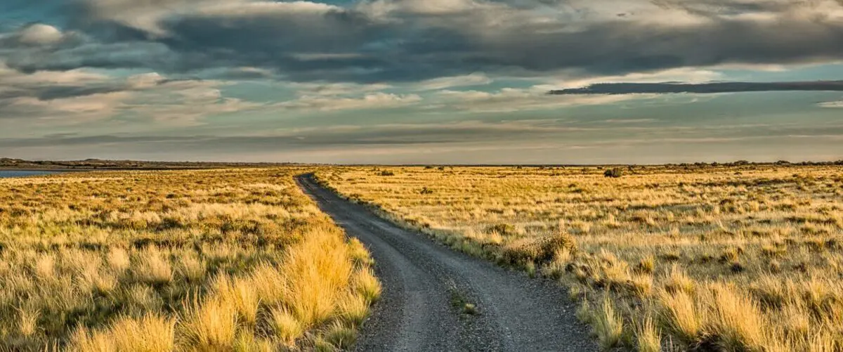 Patagonien, Chile, Argentinien, Bahia Bustamante Anfahrt patagonische Steppe, Latin America Tours