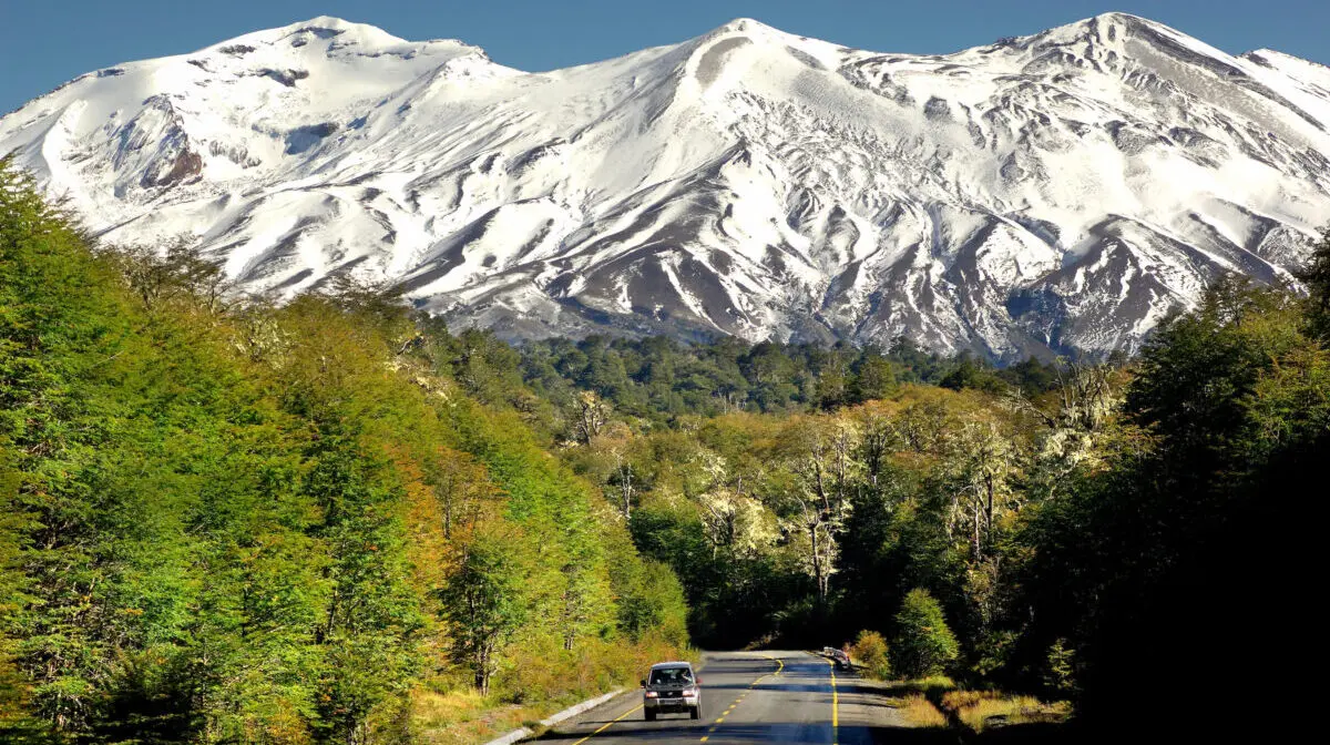Chile, Highway 215, Parque Nacional Puyehue, Osorno, Los Lagos, Patagonia, Latin America Tours