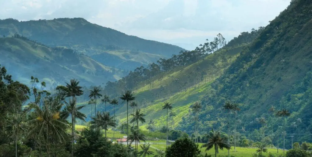 Kolumbien, Kaffeezone, VAlle de Cocora, Latin America Tours, Reisen