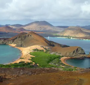 Galapagos-02-e1623783448796-300x283-1