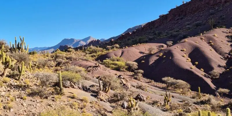 Bolivien, Hochland, Fahrt Potosi-Uyuni, karge Landschaft, Latin America Tours, Reisen
