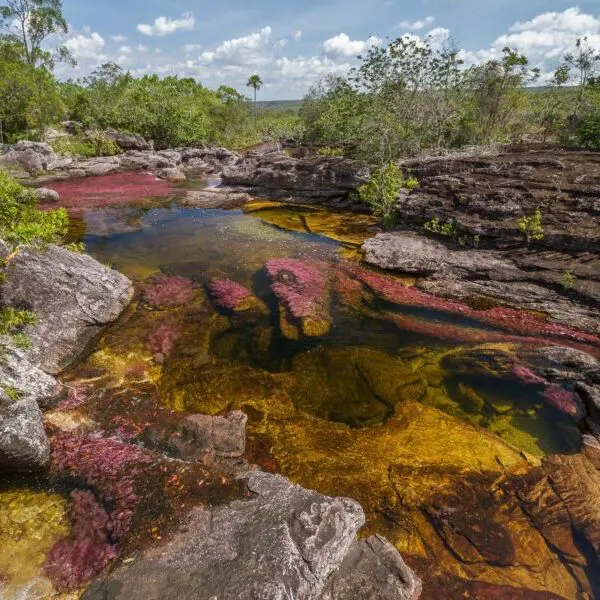 Kolumbien, Caño Cristales, bunter Fluss, Latin America Tours, Reisen