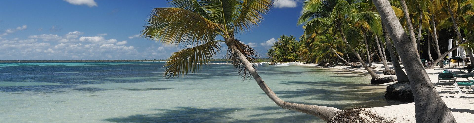 Dominikanische Republik_Isla Saona_Strand mit Palmen_Reisen