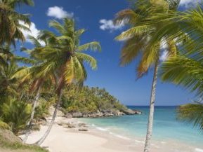 Dominikanische Republik, Traumstrand mit Palmen, Rio San Juan, Latin America Tours