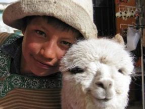 Peru, Junge mit Lama, Latin America Tours, Reisen