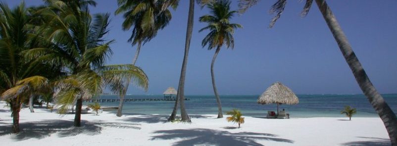 Belize, weisser Sandstrand mit Palmen, Traumstrand, Reisen