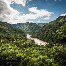 Peru, Amazonas, Urwald, Weitaufnahme, Latin America Tours, Reisen