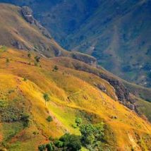 Haiti, gruenbewachsene Huegel, Landschaft, Latin America Tours, Reisen
