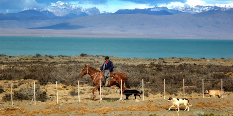 Argentinien, Patagonien, Gaucho auf Pferd im Nationalpark Los Glaciares, El Chalten, Latin America Tours