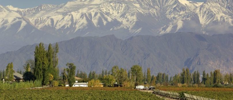 Argentinien, Weingut vor Bergen in Mendoza, Latin America Tours