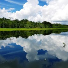 Peru, Amazonas, Fluss mit Wolkenspiegelung, Latin America Tours