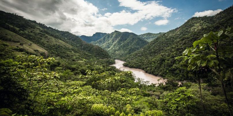 Peru, Amazonas, Urwald, Latin America Tours