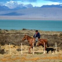 Argentinien, Patagonien, Gaucho mit Hund, Latin America Tours, Reisen