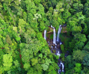 Costa Rica, Dominical-Uvita, Wasserfall, Costa Ballena, Latin America Tours