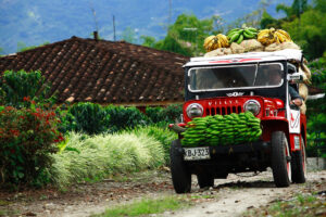Kolumbien, Colombiaexplorer, Willys Jeep, Kaffezone, Früchtetransport, Latin America Tours