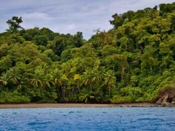 Costa Rica, Strand Corcovado, Osa Halbinsel, Latin America Tours, Reisen