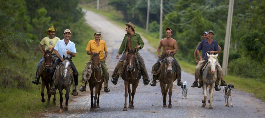 Kuba, Pferde, Personen auf Pferden, Reiter, Latin America Tours