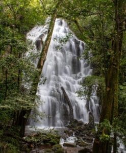 Costa Rica, Rincon de la Vieja National Park, Studienreise, Alessandra Rüfenacht, Latin America Tours