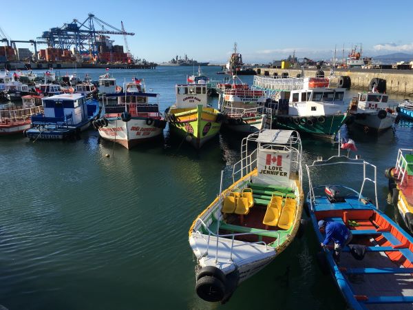 Chile, Valparaiso Hafen mit Booten, Latin America Tours, Reisen