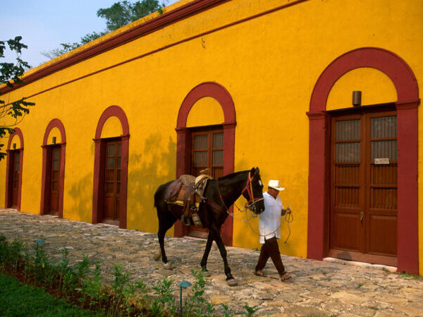 Mexiko, Hacienda Temozon, Mexiko Reise planen, Latin America Tours