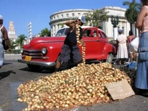 Kuba, Havanna, Zwiebelverkauf, Kuba Reise planen, Latin America Tours