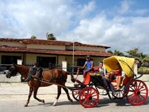 Kuba, Pferdekutsche, Kuba Reise planen, Latin America Tours
