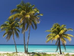 Kuba, Varadero, Palmenstrand, Kuba Reise planen, Latin America Tours