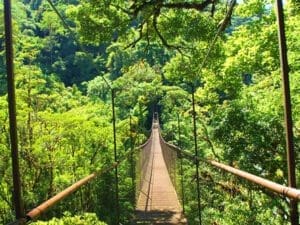 Panama, Reise planen in 5 Schritten, Boquete, Hängebrücke, Latin America Tours