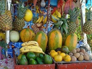 Panama, Reise planen in 5 Schritten, Früchte, Bananen, Papaya, Ananas, Avocado, Latin America Tours
