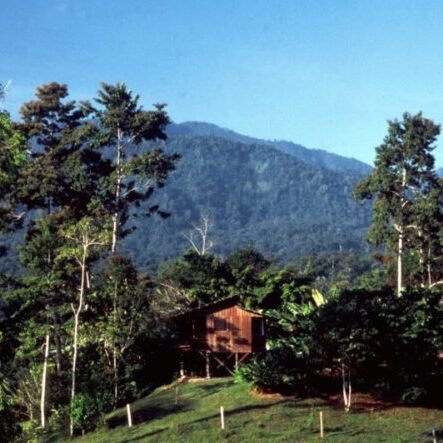 Costa Rica, Selva Bananito Lodge, Regenwald, Latin America Tours, Reisen