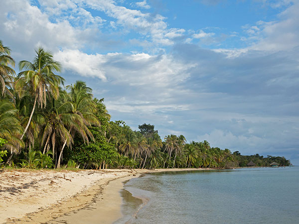 Panama, Reise planen in 5 Schritten, Bocas del Toro, Al Natural, Latin America Tours