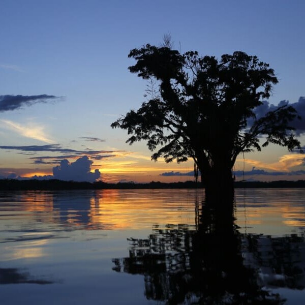 Ecuador, Amazonas Fluss bei Sonnenuntergang, Latin America Tours, Reisen