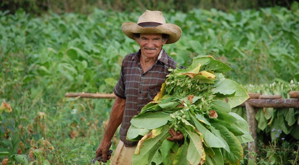 Kuba, Tabakbauer, Vinales, Latin America Tours