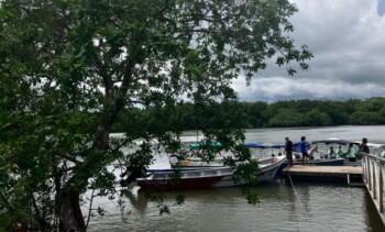 Panama, GoWaved Schule Isla Cañas, Bootssteg, Latin America Tours