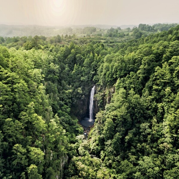 Honduras, Wasserfall El Chiflador, Dschungel, Latin America Tours, Reisen