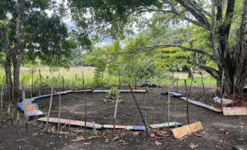 Panama, GoWaved Schule Isla Cañas, Morgenkreis, Latin America Tours